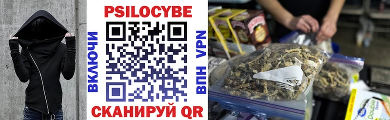 купить наркотик блэк спрут как войти Галлюциногенные грибы мухоморы Полярные Зори