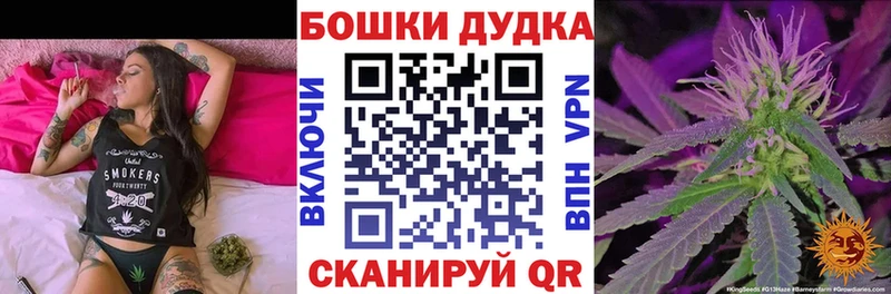 Бошки Шишки SATIVA & INDICA  где купить наркоту  МЕГА как зайти  Полярные Зори 